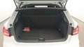 Daumennagel 16 - Audi A1 CITYCARVER 35 TFSI/ DIG.C/CAR-PLAY/LED/RFK/ACC