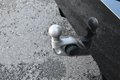 Daumennagel 39 - BMW 540 XD M SPORT/SHADOW/LCI/ WIDES./STAND./B&W/360°/ACC
