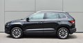 Daumennagel 9 - Skoda KAROQ CLEVER 4X4/ ACC/LED/PDC/CAR-PLAY/KEYLESS/AHK