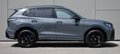 Daumennagel 6 - Volkswagen Tiguan R-LINE/STHZ/ HUD/PANO/20 ZOLL/H&K/BLACK/IQ