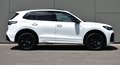 Daumennagel 2 - Volkswagen Tiguan R-LINE /STHZ HUD/PANO/20 ZOLL/H&K/BLACK/IQ