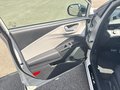 Daumennagel 23 - Ford Puma Sound Edition | Metropolis White Metallic