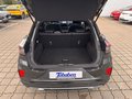 Daumennagel 20 - Ford Puma ST-Line Vignale + Fahrassistenzpaket