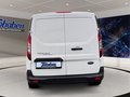Daumennagel 6 - Ford Transit Connect 1.5 EcoBlue 240 (L1) Trend Kaste