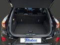 Daumennagel 22 - Ford Puma ST-Line + Winterpaket + Assistenzpaket