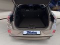 Daumennagel 6 - Ford Puma Titanium