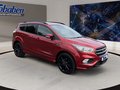 Daumennagel 3 - Ford Kuga 1.5 EcoBoost ST-Line 4x4 Start/Stopp OPF