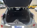 Daumennagel 21 - Ford Puma 43 kWh Geländewagen, 124 kW