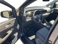 Daumennagel 11 - Ford Tourneo Connect Titanium PHEV *Ganzjahresreifen*