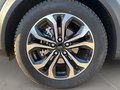 Daumennagel 9 - Ford Puma Titanium + Allwetter + 360 Kamera