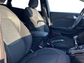 Daumennagel 14 - Ford Puma Titanium + Allwetter + 360 Kamera