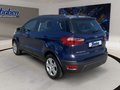 Daumennagel 7 - Ford EcoSport Cool&amp;Connect + Kamera + Winterpaket