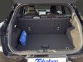 Daumennagel 24 - Ford Puma ST-Line + 19 Zoll + Winter + Komfortpaket