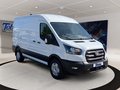 Daumennagel 3 - Ford Transit 350L2H2 Trend Kasten Service-Line
