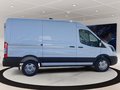 Daumennagel 4 - Ford Transit 350L2H2 Trend Kasten Service-Line