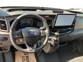 Daumennagel 11 - Ford Transit 350L2H2 Trend Kasten Service-Line