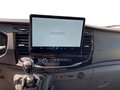 Daumennagel 12 - Ford Transit 350L2H2 Trend Kasten Service-Line