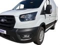 Daumennagel 17 - Ford Transit 350L2H2 Trend Kasten Service-Line