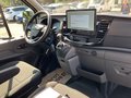 Daumennagel 22 - Ford Transit 350L2H2 Trend Kasten Service-Line
