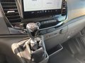 Daumennagel 25 - Ford Transit 350L2H2 Trend Kasten Service-Line