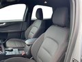 Daumennagel 13 - Ford Kuga 2.0 EcoBlue ST-Line + ACC + Allwetter