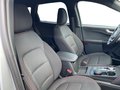 Daumennagel 14 - Ford Kuga 2.0 EcoBlue ST-Line + ACC + Allwetter