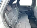 Daumennagel 15 - Ford Kuga 2.0 EcoBlue ST-Line + ACC + Allwetter