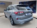 Daumennagel 18 - Ford Kuga 2.0 EcoBlue ST-Line + ACC + Allwetter