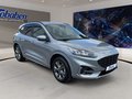 Daumennagel 3 - Ford Kuga 2.0 EcoBlue ST-Line + ACC + Allwetter