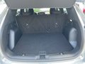 Daumennagel 21 - Ford Kuga 2.0 EcoBlue ST-Line + ACC + Allwetter