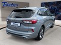 Daumennagel 5 - Ford Kuga 2.0 EcoBlue ST-Line + ACC + Allwetter