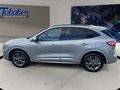 Daumennagel 8 - Ford Kuga 2.0 EcoBlue ST-Line + ACC + Allwetter