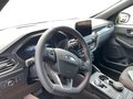 Daumennagel 10 - Ford Kuga 2.0 EcoBlue ST-Line + ACC + Allwetter