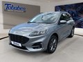 Daumennagel 1 - Ford Kuga 2.0 EcoBlue ST-Line + ACC + Allwetter