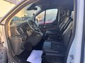Daumennagel 23 - Ford Tourneo Custom 2.0 TDCi 320 L1 Active (EURO 6d)
