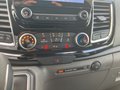 Daumennagel 23 - Ford Transit Doppelkabine 320 L1 Sport