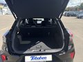 Daumennagel 21 - Ford Puma ST-Line X + Panorama +19 Zoll