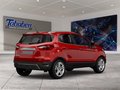 Daumennagel 2 - Ford EcoSport 1.0 EcoBoost Trend Start/Stopp