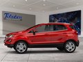 Daumennagel 3 - Ford EcoSport 1.0 EcoBoost Trend Start/Stopp