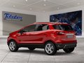 Daumennagel 4 - Ford EcoSport 1.0 EcoBoost Trend Start/Stopp