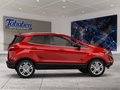 Daumennagel 6 - Ford EcoSport 1.0 EcoBoost Trend Start/Stopp