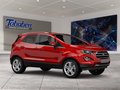 Daumennagel 7 - Ford EcoSport 1.0 EcoBoost Trend Start/Stopp