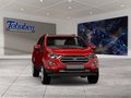 Daumennagel 8 - Ford EcoSport 1.0 EcoBoost Trend Start/Stopp