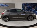 Daumennagel 4 - Ford Focus ST-Line + Winterpaket + Allwetter
