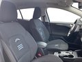 Daumennagel 13 - Ford Focus 1.5 EcoBlue Active + Headup + Allwetter