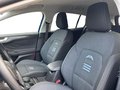 Daumennagel 14 - Ford Focus 1.5 EcoBlue Active + Headup + Allwetter