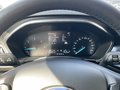 Daumennagel 24 - Ford Focus 1.5 EcoBlue Active + Headup + Allwetter