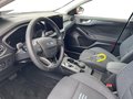 Daumennagel 10 - Ford Focus 1.5 EcoBlue Active + Headup + Allwetter