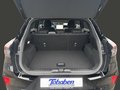 Daumennagel 19 - Ford Puma ST-Line Hybrid Fahrer+Winterpaket