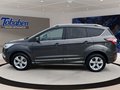 Daumennagel 8 - Ford Kuga Vignale AWD + ACC + Panorama